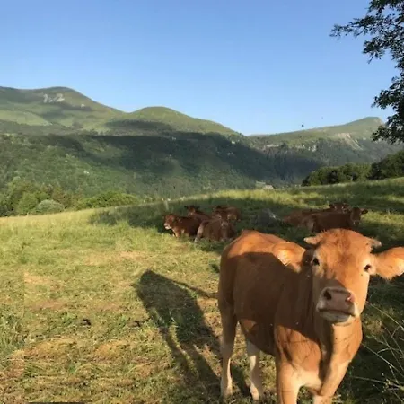 T2 Agreable Avec Parking, Proche Centre - Fr-1-608-215 *