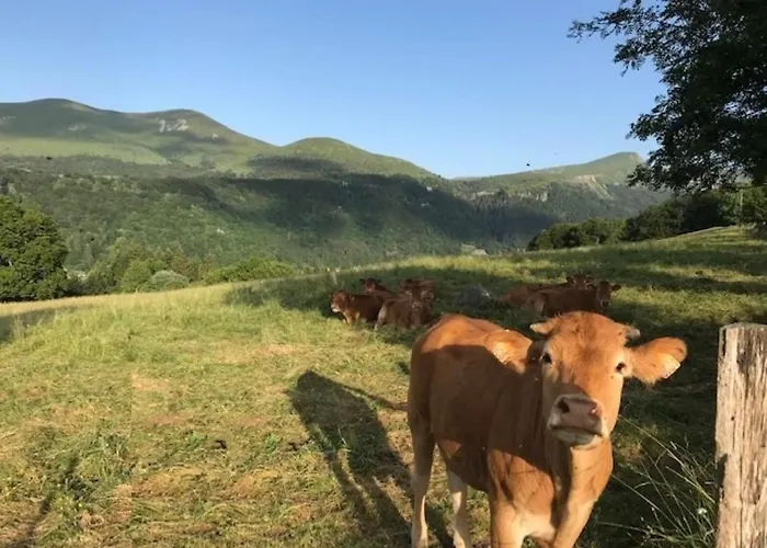 T2 Agreable Avec Parking, Proche Centre - Fr-1-608-215 *